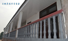 �����Bֳ�W�T����